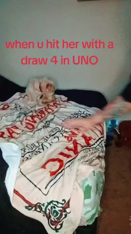 #draw4 #uno #welldamn #sunday #lol 