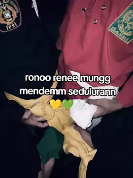 💛💚🤍#seduluransaklawase #pshw_tm_1903 #gasmiindonesia❤🔱 #pagarnusa86💚🔱 #trending 