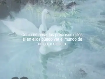 #teamo #paratiiiiiiiiiiiiiiiiiiiiiiiiiiiiiii #contenido #videosdeamor #textobonito 