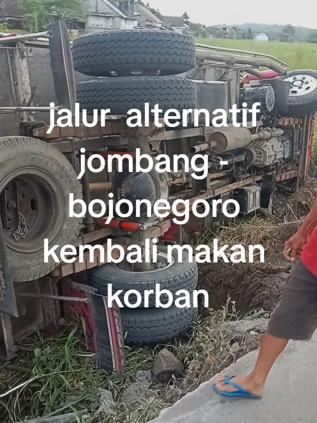 terjadi kembali di pagi hari ini senin tgl 24 - 11 - 2025 sebuah truk colt diesel bermuatan kb atau katul basah mengalami kecelakaan  di dusun soco desa pengampon kecamatan kabuh jombang... hati - hati buat seluruh teman yang akan melintasi jalur tersebut... #trending #lewatberanda #fypシ゚viral #foryourpage #viral 