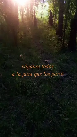 #paz #paratiiiiiiiiiiiiiiiiiiiiiiiiiiiiiii #foryoupage 