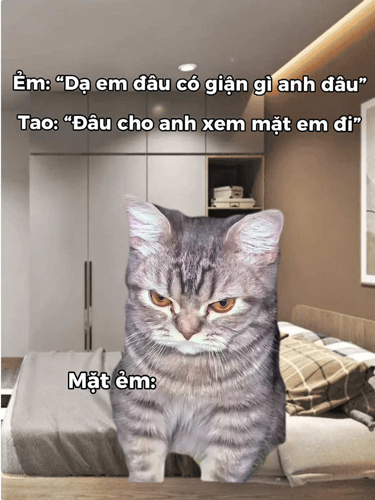 là sao dị 🙄 mặt cọc cơ địa hả #memes #couple #cat #relatable #fyp 
