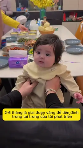 📌Giai đoạn vàng 2–6 tháng: Ba mẹ đừng bỏ lỡ thời khắc giúp bé phát triển tiền đình tốt nhất! Cứu bé khỏi say xe – say tàu từ những trò chơi đơn giản mỗi ngày 🚗🎠 #PhátTriểnTiềnĐình #NuôiConKhoaHọc #MẹThôngThái #DạyConSớm #EmBéKhỏeMạnh    