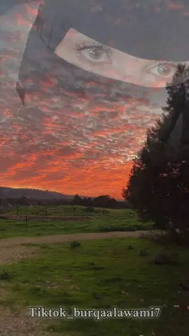 خبرتني حواء #creatorsearchinsights  #foryou  #fyp  #شعراء_وذواقين_الشعر_الشعبي  #صوب_خليل_خلق_للجمله🎶❤🔥💔💔 