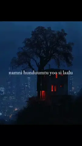 part 66 | namni hunduumtu yoo si laalu #lyricsedit #oromotiktok #lyrics_songs #oromomusic #ethiopia 