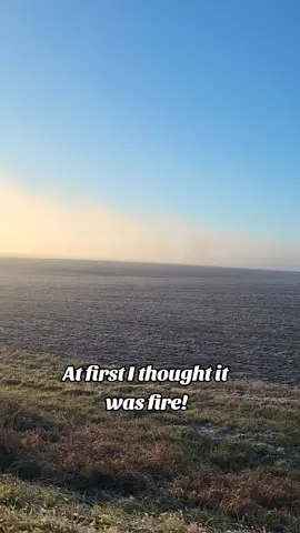 It's actually a thick cloud of low laying fog. All by itself moving south east through town. Weird! #letstalkgrinnell #grinnell #grinnelliowa 