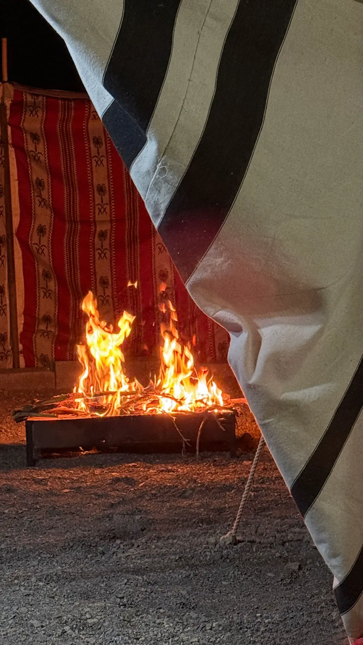 #CapCut #y #اكسبلورexplore #الشعب_الصيني_ماله_حل😂😂 #قهوه 