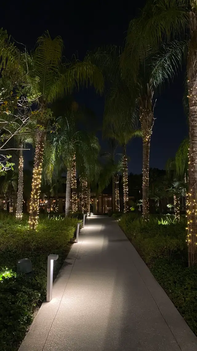 #fyp #explore #cairo 