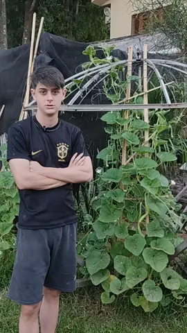 Nossos porongos Cobra #gugugaiteiro 