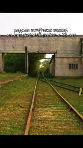 тг: то же боб #редкаяэстетика #мем #щп #fyp 