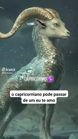 #reels #signos #capricornio #zodiaco #foryou @rebeca.archilha