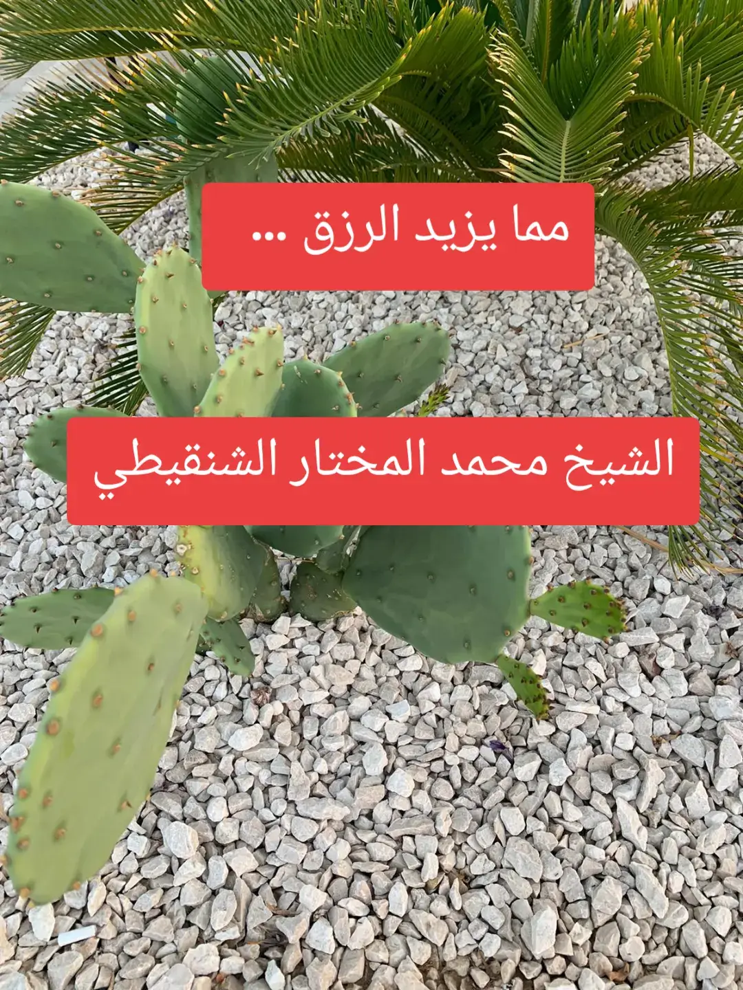 #الرزق #الصدقة #اكسبلورexplore #السعودية_الكويت_مصر_العراق_لبنان #الشيخ_محمد_المختار_الشنقيطي 