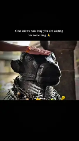 ஓம் நமச்சிவாயா... #ஓம்  #நமச்சிவாய #ஈசன் #சிவன் #அண்ணாமலையார் 