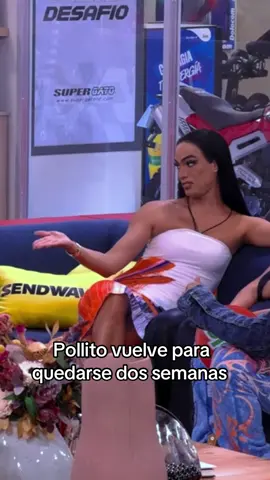 #pollitotropical #lacasadealofoke 