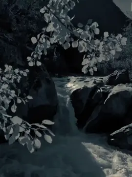 #CapCut #dianastemplate #quote #fypage #trending 