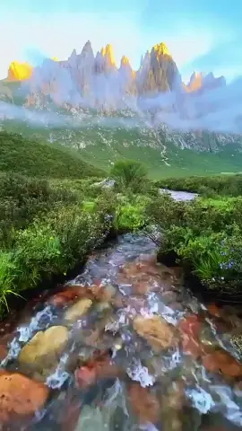 بسم الله الذي لا يضر مع اسمه شيء في الأرض ولا في السماء وهو السميع العليم #اذكروا_الله #استغفرالله_العظيم_واتوب_اليه #الحمدلله_دائما_وابدا #استغفر_الله 