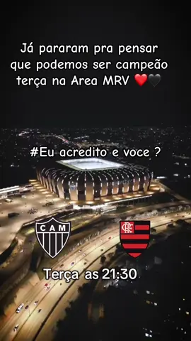Podemos ser campeão ja terca na Arena MRV, e ai vc acredita ? #flamengo #brasileirao #euacredito 