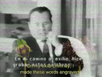 have faith in life ! #leondegrelle #quote #faithinlife #rexvaincra #foru  