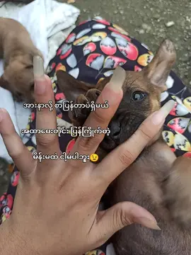 #စာတောင်ပြန်ချင်မှပြန်တာ🤩#fiypシforyoupage #ရောက်ချင်တဲ့နေရာရောက်👌 #fiypシviral #ရောက်စမ်းfypပေါ်😒myanmartiktok 