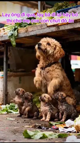 #dog #cutedog #funnyvideo #funny #dogsoftiktokviral 