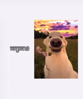 🗿#viraltiktok #viralvideo #xuhuong #xyzab #fyyyyyyyyyyyyyyyy 