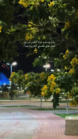 #عزة_نفس #عبارات #أكسبلور 