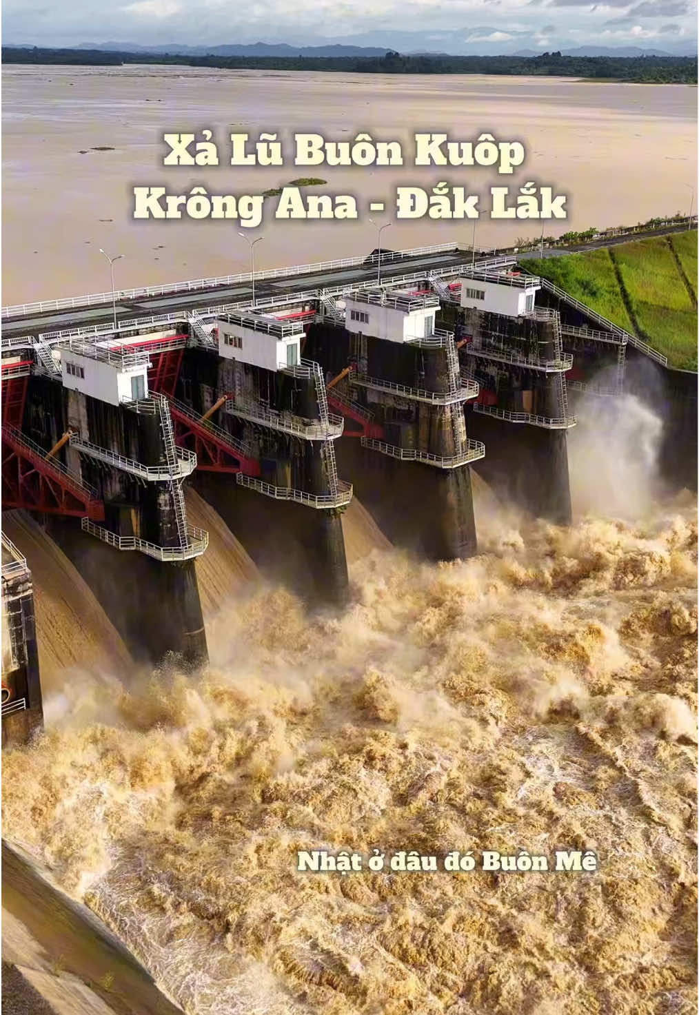 Xả lũ thuỷ điện Buôn Kuôp - Krông Ana - Đắk Lắk #47daklak #reviewbuonmathuot #lulut #krongana #xuhuong 