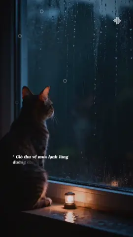 Gió thu về lạnh lùng đường chiều heo mây..! #nhactamtrang #buonmotxiu_0809 #xuhuong2025 