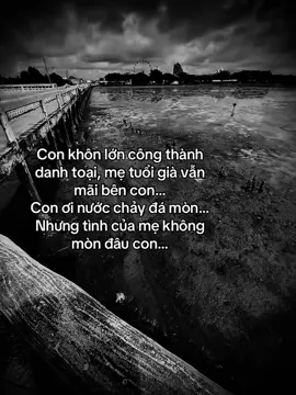Con khôn lớn công thành danh toại... #nguoivietloi03 #caphay #tamtrang #fyp #sory 