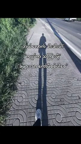 #creatorsearchinsights 