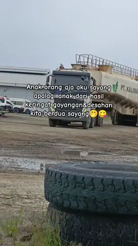 awww🤭😋#fypシ゚viral #storytambangbatubara #kulitambangbatubara #tambangbatubarakalimantan #tambanghitz @