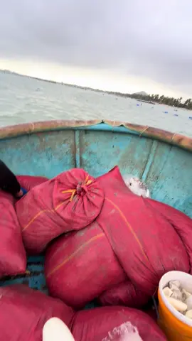 Vẫn còn hy vọng tết này bánh tét có nhận nha ae #xuhuongtiktok #lulut