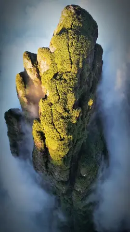 Ngũ Chỉ Sơn ngọn núi hùng vĩ bậc nhất Việt Nam #trekking #CapCut #pomitrekking #viral #cảnhđẹpviệtnam 