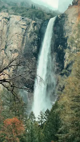 Sống ở cuộc đời này bạn không cần phải nói mình tốt hay xấu. Bởi một khi họ đã ghét thì có tốt cũng thành xấu. Không so đo, không giải thích, cứ để thời gian trả lời tất cả. Quan trọng là sống không sai, không lỗi với ai và không hỗ thẹn với lòng mình là được.. còn lại thì tuỳ duyên ! 🍀 #st