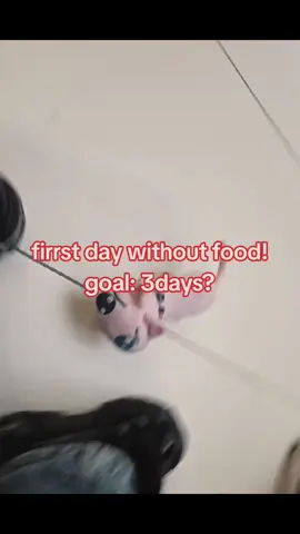 #ed #slavicdolls #ventacc 