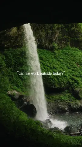can we move the office to the forest? 🌲📸 #fyp #nature #tiktok #sony #getoutside 