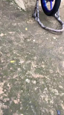 jan sesss #5tpberkahcod #5tpmenolakpunah #5tp #5tpstyleganteng #fyp 