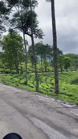 Bentah banget ni mata liat beginian🍃 #fypage 