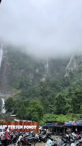 Sejuk banget #fyppppppppppppppppppppppp #ponotsiguragura 