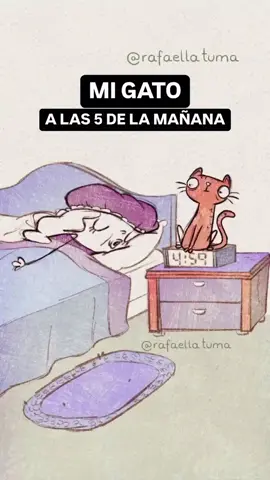 siempre cantando para que le demos su comida, así es mi gato Evaristo Claudio  #humor  #fyp  #TikTokSeries 