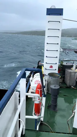 Datang lagi💀 #pelautindonesia #tugboat #tugboatindonesia #palu #pelaut 