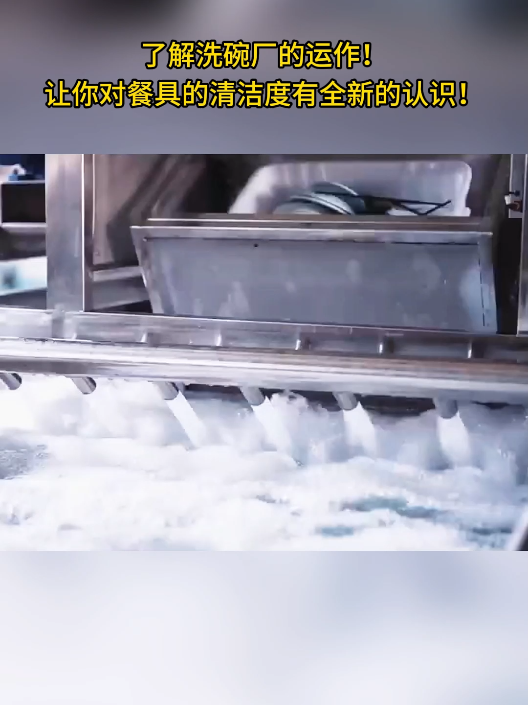 Continuous Feed Conveyor Dishwasher - Industrial-Grade for Mass Catering & Food Factories.#dishwasher