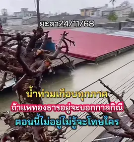 น้ำท่วม ทุกภาค ขอส่งกำลังใจให้ทุกๆท่านครับ#น้ําท่วมแล้ว #ยะลา #สงขลา #อยุธยา #แพทองธารชินวัตร 