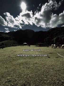 #เธรด #สตอรี่ #เธรดคําพูด 