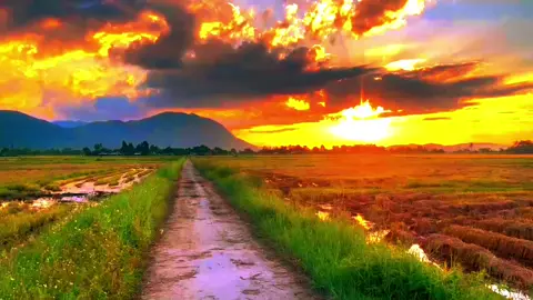 Một sương hai nắng dãi dầu cùng nhau...!#xuhuong #chill #tâmtrạng #binhyen #miêntây 