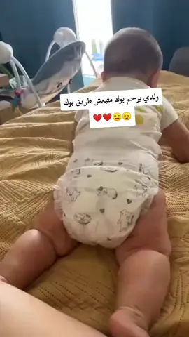 #في هذا اليوم #شاوي #فرنسا🇨🇵_بلجيكا🇧🇪_المانيا🇩🇪_اسبانيا🇪🇸 