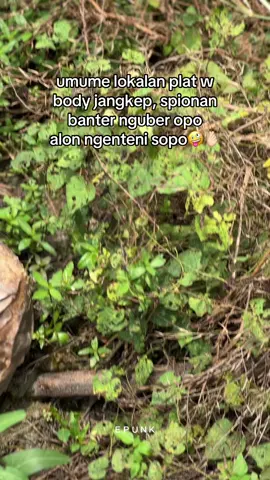 amit lek🙏🏻 #vario #varioledold #gresik24jam #variomodifikasi #fypシ゚ 