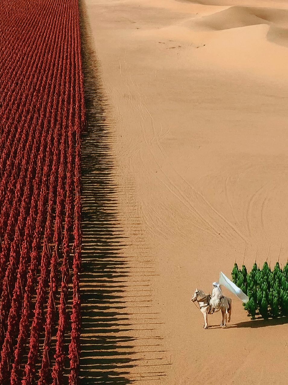 Büyük Öğretmen Kutlu Nebi Hz.Muhammed (s.a.v) #24kasım #öğretmenlergünü 