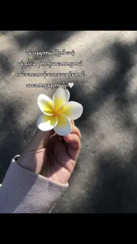 #fypシ゚viral #fyp 