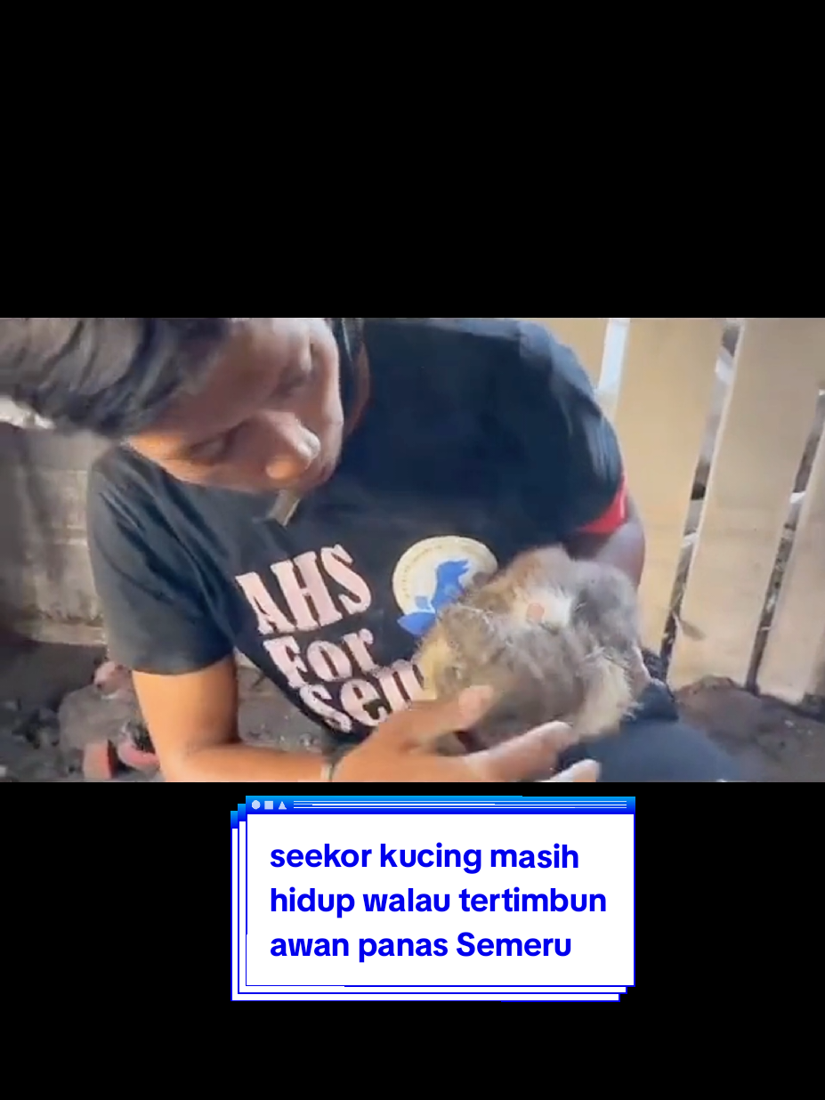 Seekor kucing masih hidup walau tertimbun awan panas Semeru,kuasa Allah itu nyata #kuasaAllah #gunungmeletus #pascaerupsisemeru #bencanaalam #fyypppppppppp 